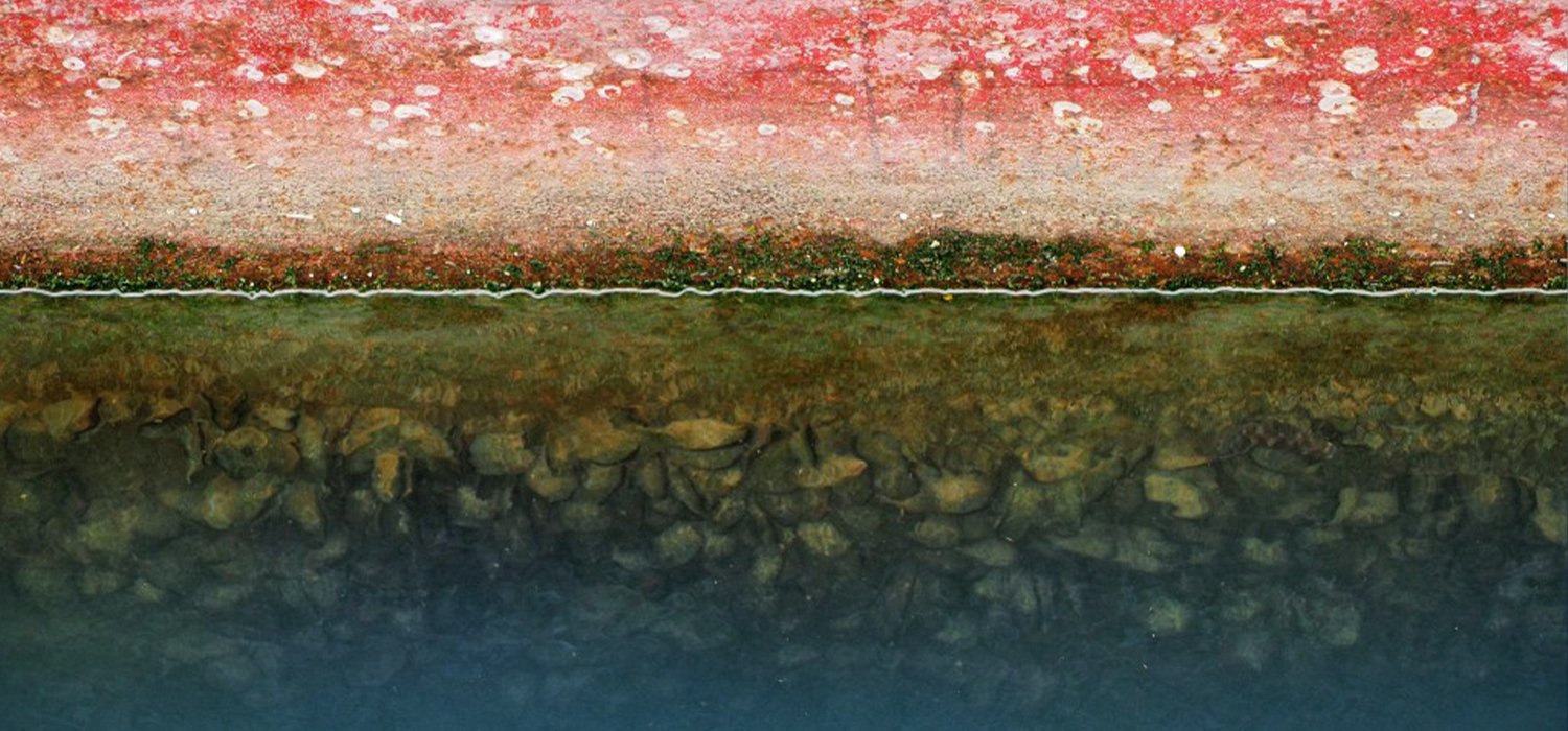 Minimising bio fouling in storage or lay up.