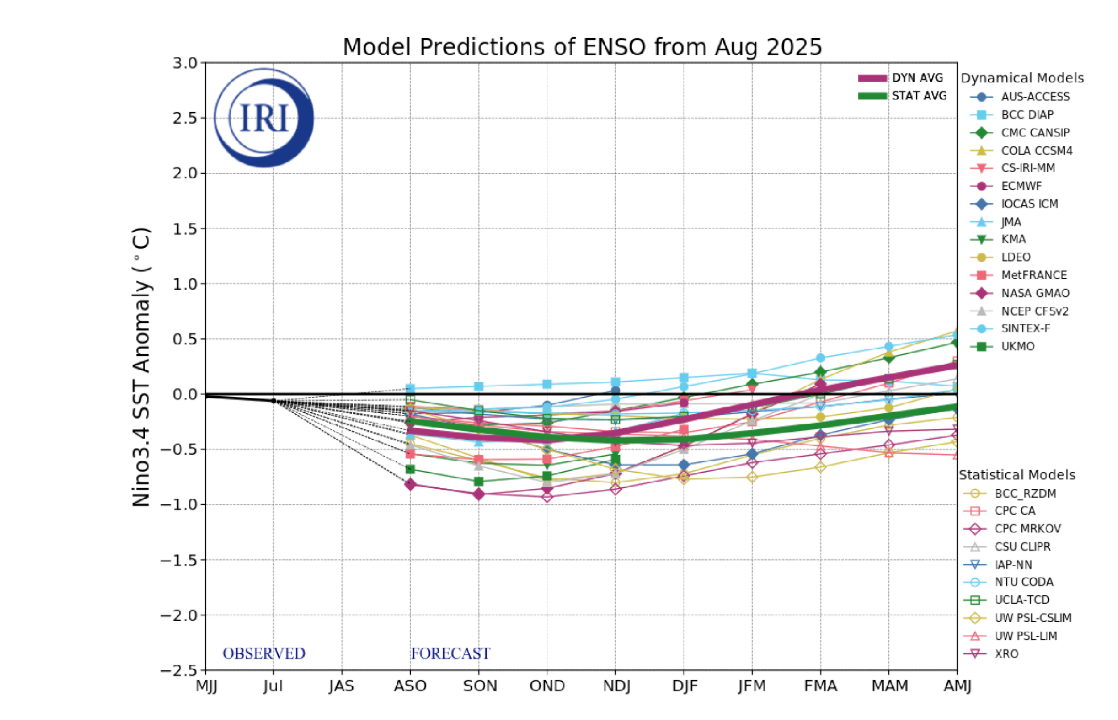 Climate Prediction Center ENSO Discussion 11 Sept 2025